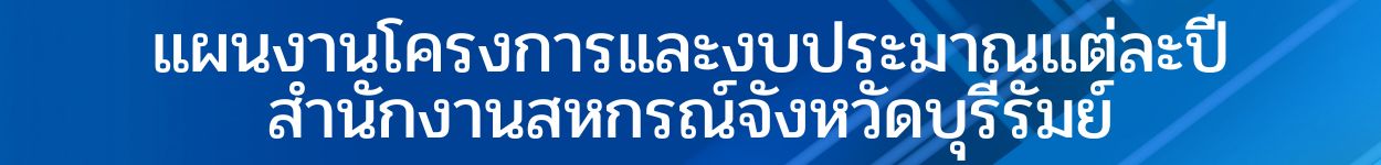 แผนงานฯ