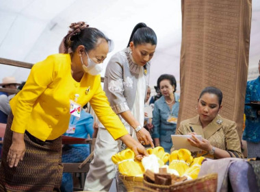 สมเด็จพระเจ้าลูกเธอ เจ้าฟ้าสิริวัณณวรี นารีรัตนราชกัญญา ... พารามิเตอร์รูปภาพ 5