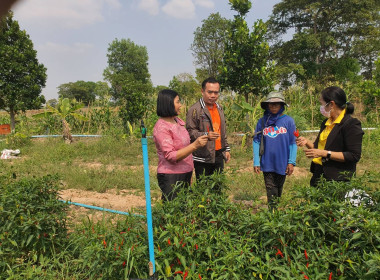 ตรวจเยี่ยมความก้าวหน้าโครงการสนับสนุนเงินทุนเพื่อสร้างระบบน้ำ ในไร่นาของสมาชิกสหกรณ์การเกษตรนางรอง จำกัด ... พารามิเตอร์รูปภาพ 1