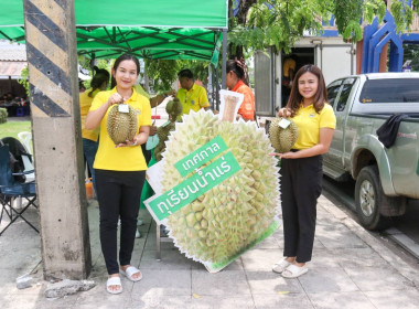 ประกาศ!!! ขอเชิญชวนซื้อทุเรียนน้ำแร่โนนสุวรรณ ... พารามิเตอร์รูปภาพ 7