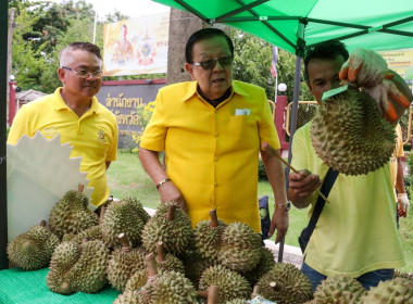 ประกาศ!!! ขอเชิญชวนซื้อทุเรียนน้ำแร่โนนสุวรรณ ... พารามิเตอร์รูปภาพ 4