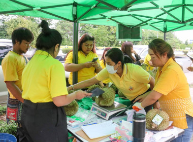 ประกาศ!!! ขอเชิญชวนซื้อทุเรียนน้ำแร่โนนสุวรรณ ... พารามิเตอร์รูปภาพ 5