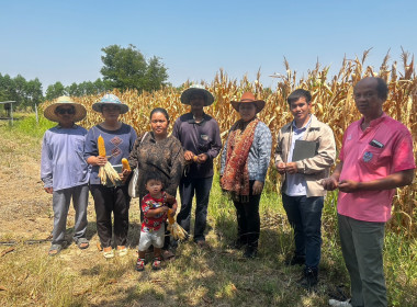 เข้าตรวจเยี่ยมแปลงปลูกข้าวโพดเลี้ยงสัตว์ของสมาชิกสหกรณ์การเกษตรหนองหงส์ จำกัด ที่เข้าร่วมโครงการปลูกข้าวโพดหลังฤดูทำนา ปีการผลิต 2566 ... พารามิเตอร์รูปภาพ 1