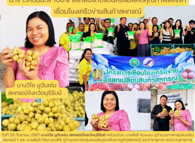 สหกรณ์จังหวัดบุรีรัมย์ ... พารามิเตอร์รูปภาพ 10