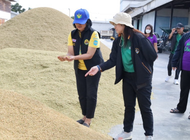 สหกรณ์จังหวัดบุรีรัมย์ ตรวจติดตามเยี่ยมการรวบรวมข้าวเปลือก ... พารามิเตอร์รูปภาพ 7