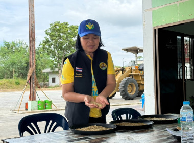 สหกรณ์จังหวัดบุรีรัมย์ ตรวจติดตามเยี่ยมการรวบรวมข้าวเปลือก ... พารามิเตอร์รูปภาพ 1