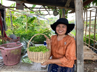 เข้าตรวจเยี่ยมสมาชิกกลุ่มเกษตรกรผู้ปลูกผักปลอดสารพลังงานแสงอาทิตย์บ้านห้วยเสลาจังหวัดบุรีรัมย์ และติดตามการดำเนินกิจกรรมโครงการขับเคลื่อนปรัชญาของเศรษฐกิจพอเพียง ... พารามิเตอร์รูปภาพ 1