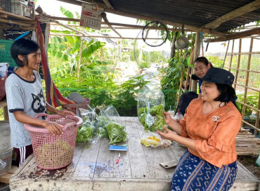 เข้าตรวจเยี่ยมสมาชิกกลุ่มเกษตรกรผู้ปลูกผักปลอดสารพลังงานแสงอาทิตย์บ้านห้วยเสลาจังหวัดบุรีรัมย์ และติดตามการดำเนินกิจกรรมโครงการขับเคลื่อนปรัชญาของเศรษฐกิจพอเพียง ... พารามิเตอร์รูปภาพ 1