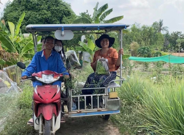 เข้าตรวจเยี่ยมสมาชิกกลุ่มเกษตรกรผู้ปลูกผักปลอดสารพลังงานแสงอาทิตย์บ้านห้วยเสลาจังหวัดบุรีรัมย์ และติดตามการดำเนินกิจกรรมโครงการขับเคลื่อนปรัชญาของเศรษฐกิจพอเพียง ... พารามิเตอร์รูปภาพ 2