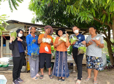 เข้าตรวจเยี่ยมสมาชิกกลุ่มเกษตรกรผู้ปลูกผักปลอดสารพลังงานแสงอาทิตย์บ้านห้วยเสลาจังหวัดบุรีรัมย์ และติดตามการดำเนินกิจกรรมโครงการขับเคลื่อนปรัชญาของเศรษฐกิจพอเพียง ... พารามิเตอร์รูปภาพ 7