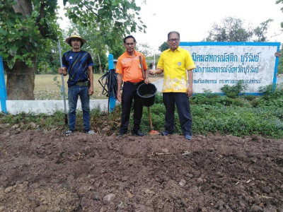 กิจกรรมพรวนดินดอกไม้ปรับปรุงดินด้วยปอเทือง พารามิเตอร์รูปภาพ 1