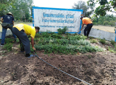 กิจกรรมพรวนดินดอกไม้ปรับปรุงดินด้วยปอเทือง พารามิเตอร์รูปภาพ 2