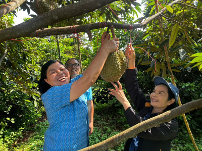 เข้าเยี่ยมชมสวนทุเรียนของสมาชิกสหกรณ์การเกษตรโนนสุวรรณ ... พารามิเตอร์รูปภาพ 1