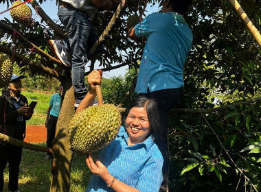 เข้าเยี่ยมชมสวนทุเรียนของสมาชิกสหกรณ์การเกษตรโนนสุวรรณ ... พารามิเตอร์รูปภาพ 3