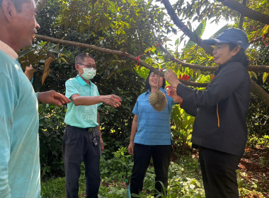 เข้าเยี่ยมชมสวนทุเรียนของสมาชิกสหกรณ์การเกษตรโนนสุวรรณ ... พารามิเตอร์รูปภาพ 4