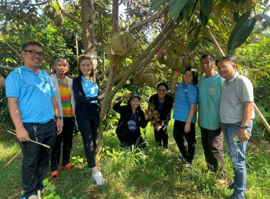 เข้าเยี่ยมชมสวนทุเรียนของสมาชิกสหกรณ์การเกษตรโนนสุวรรณ ... พารามิเตอร์รูปภาพ 2