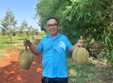 เข้าเยี่ยมชมสวนทุเรียนของสมาชิกสหกรณ์การเกษตรโนนสุวรรณ ... พารามิเตอร์รูปภาพ 5