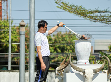 พิรุณบุรีรัมย์เกมส์ ๖๘ ... พารามิเตอร์รูปภาพ 18