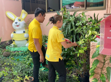 สหกรณ์จังหวัดบุรีรัมย์ ร่วมกิจกรรม บิ๊กคลีนนิ่งเดย์ &quot;BIG ... พารามิเตอร์รูปภาพ 8