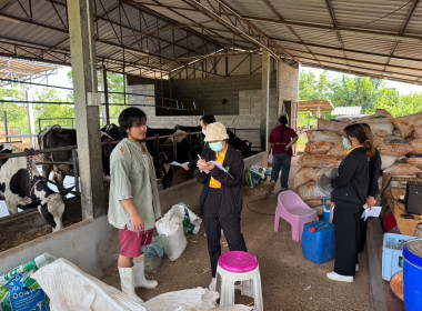 สหกรณ์จังหวัดบุรีรัมย์ ... พารามิเตอร์รูปภาพ 6
