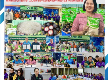 สหกรณ์จังหวัดบุรีรัมย์ ... พารามิเตอร์รูปภาพ 10