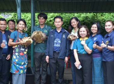 สหกรณ์จังหวัดบุรีรัมย์ ... พารามิเตอร์รูปภาพ 6
