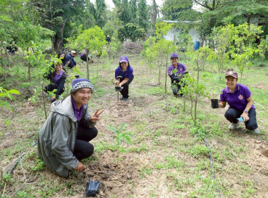 สหกรณ์จังหวัดบุรีรัมย์ ข้าราชการ ลูกจ้างประจำ พนักงานราชการ ... พารามิเตอร์รูปภาพ 9