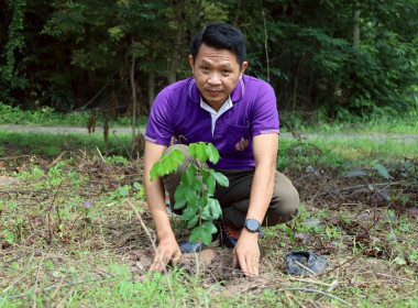 สหกรณ์จังหวัดบุรีรัมย์ ข้าราชการ ลูกจ้างประจำ พนักงานราชการ ... พารามิเตอร์รูปภาพ 7