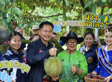 สหกรณ์จังหวัดบุรีรัมย์ ร่วมกิจกรรมผู้ว่าฯ พาเลาะ ชม ชิม ... พารามิเตอร์รูปภาพ 8