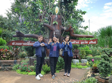 สหกรณ์จังหวัดบุรีรัมย์ ร่วมกิจกรรมผู้ว่าฯ พาเลาะ ชม ชิม ... พารามิเตอร์รูปภาพ 10