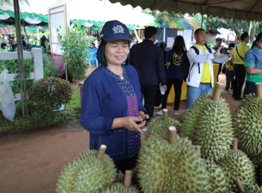 สหกรณ์จังหวัดบุรีรัมย์ ร่วมกิจกรรมผู้ว่าฯ พาเลาะ ชม ชิม ... พารามิเตอร์รูปภาพ 11
