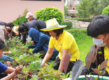 กิจกรรม &quot;Big Cleaning Day&quot; พารามิเตอร์รูปภาพ 5