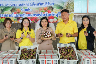 สหกรณ์การเกษตรกรกระสัง จำกัด ... พารามิเตอร์รูปภาพ 1