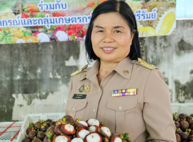 สหกรณ์การเกษตรกรกระสัง จำกัด ... พารามิเตอร์รูปภาพ 1