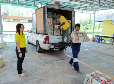 สหกรณ์การเกษตรกรกระสัง จำกัด ... พารามิเตอร์รูปภาพ 8