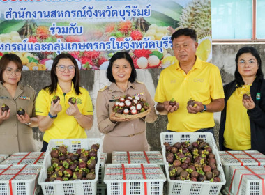 สหกรณ์การเกษตรกรกระสัง จำกัด ... พารามิเตอร์รูปภาพ 3