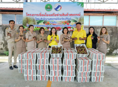 สหกรณ์การเกษตรกรกระสัง จำกัด ... พารามิเตอร์รูปภาพ 5