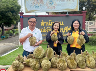 สหกรณ์จังหวัดบุรีรัมย์ ... พารามิเตอร์รูปภาพ 2