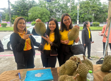 สหกรณ์จังหวัดบุรีรัมย์ ... พารามิเตอร์รูปภาพ 7