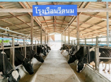 สมเด็จพระกนิษฐาธิราชเจ้า กรมสมเด็จพระเทพรัตนราชสุดา ฯ ... พารามิเตอร์รูปภาพ 11