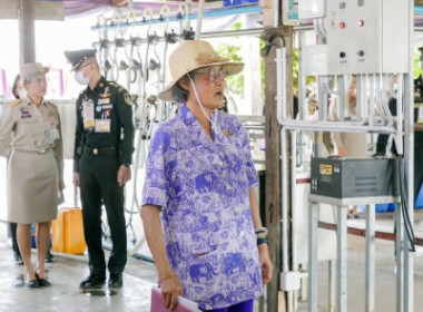 สมเด็จพระกนิษฐาธิราชเจ้า กรมสมเด็จพระเทพรัตนราชสุดา ฯ ... พารามิเตอร์รูปภาพ 3