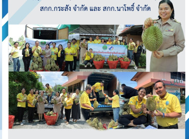 สหกรณ์จังหวัดบุรีรัมย์ ร่วมส่งมอบทุเรียนน้ำแร่บุรีรัมย์ ... พารามิเตอร์รูปภาพ 7