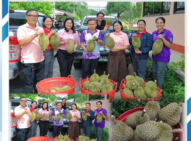 สหกรณ์จังหวัดบุรีรัมย์ ... พารามิเตอร์รูปภาพ 7