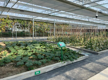 สหกรณ์จังหวัดบุรีรัมย์ ... พารามิเตอร์รูปภาพ 9