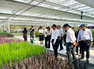 สหกรณ์จังหวัดบุรีรัมย์ ... พารามิเตอร์รูปภาพ 4