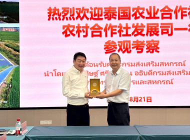 สหกรณ์จังหวัดบุรีรัมย์ ... พารามิเตอร์รูปภาพ 2