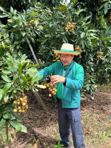 อธิบดีกรมส่งเสริมสหกรณ์ ... พารามิเตอร์รูปภาพ 1