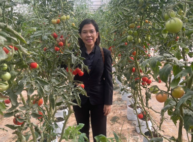 รักษาราชการแทนสหกรณ์จังหวัดบุรีรัมย์ ... พารามิเตอร์รูปภาพ 9