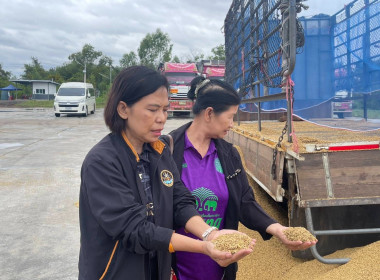 รักษาราชการแทนสหกรณ์จังหวัดบุรีรัมย์ พร้อมคณะ ... พารามิเตอร์รูปภาพ 1