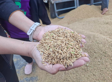 รักษาราชการแทนสหกรณ์จังหวัดบุรีรัมย์ พร้อมคณะ ... พารามิเตอร์รูปภาพ 4